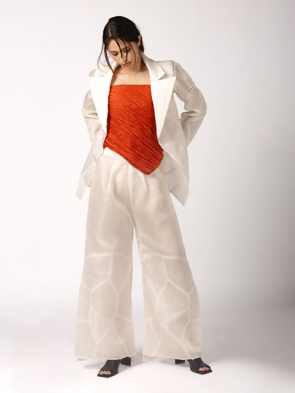 Organza Blazer, Pleated Slip, Organza Trousers