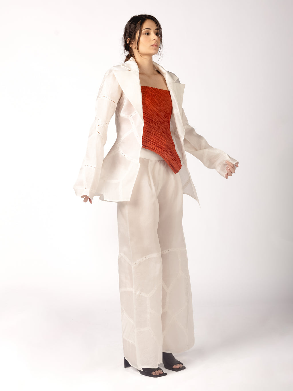 Organza Blazer, Pleated Slip, Organza Trousers